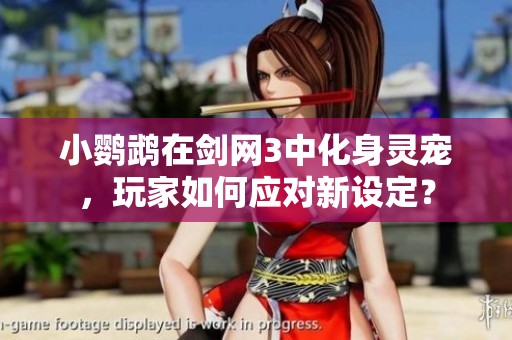 小鸚鵡在劍網(wǎng)3中化身靈寵，玩家如何應(yīng)對新設(shè)定？