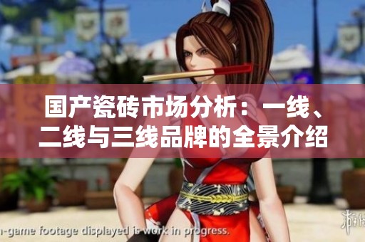 國產(chǎn)瓷磚市場分析：一線、二線與三線品牌的全景介紹