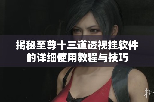 揭秘至尊十三道透視掛軟件的詳細使用教程與技巧