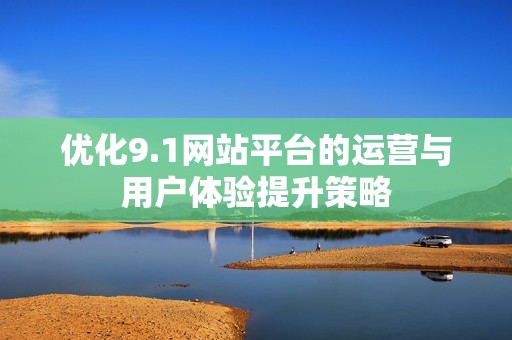 優(yōu)化9.1網(wǎng)站平臺的運營與用戶體驗提升策略