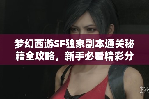 夢幻西游SF獨家副本通關(guān)秘籍全攻略，新手必看精彩分享！
