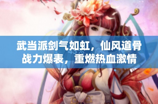武當(dāng)派劍氣如虹，仙風(fēng)道骨戰(zhàn)力爆表，重燃熱血激情