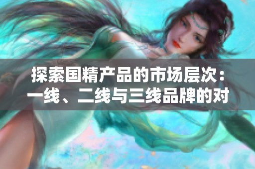 探索國(guó)精產(chǎn)品的市場(chǎng)層次：一線、二線與三線品牌的對(duì)比分析