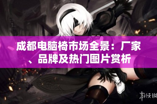 成都電腦椅市場(chǎng)全景：廠家、品牌及熱門圖片賞析