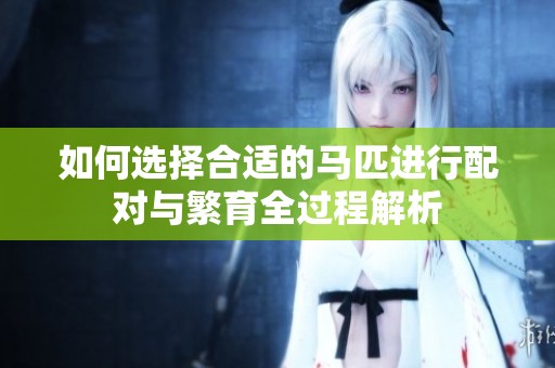 如何選擇合適的馬匹進(jìn)行配對與繁育全過程解析