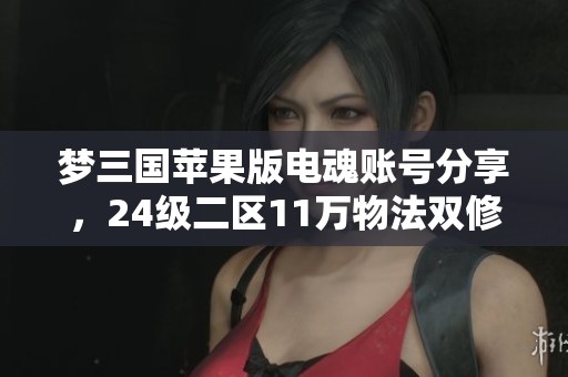 夢(mèng)三國(guó)蘋果版電魂賬號(hào)分享，24級(jí)二區(qū)11萬(wàn)物法雙修體驗(yàn)攻略