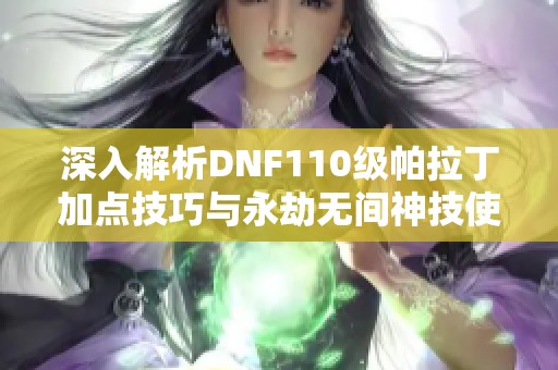深入解析DNF110級(jí)帕拉丁加點(diǎn)技巧與永劫無間神技使用攻略