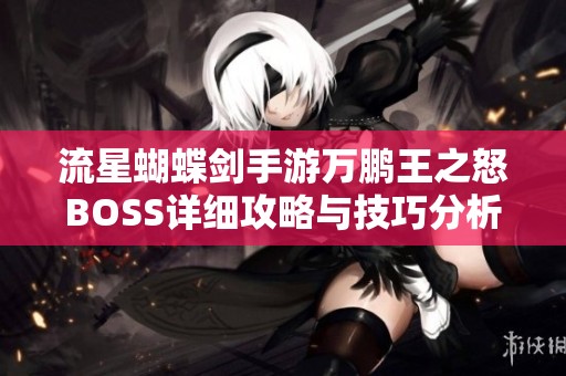 流星蝴蝶劍手游萬鵬王之怒BOSS詳細(xì)攻略與技巧分析