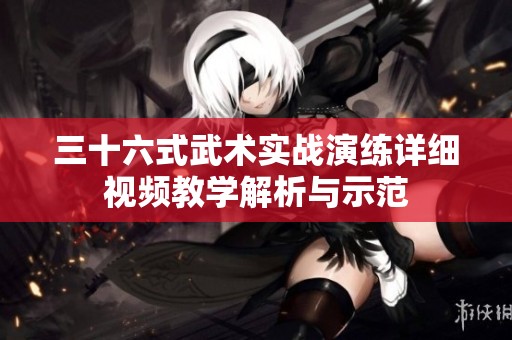 三十六式武術實戰(zhàn)演練詳細視頻教學解析與示范