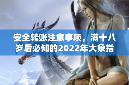 安全轉(zhuǎn)賬注意事項，滿十八歲后必知的2022年大象指南