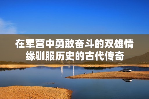 在軍營(yíng)中勇敢?jiàn)^斗的雙雄情緣馴服歷史的古代傳奇