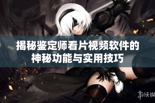 揭秘鑒定師看片視頻軟件的神秘功能與實用技巧