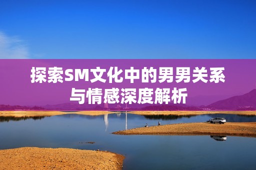 探索SM文化中的男男關(guān)系與情感深度解析