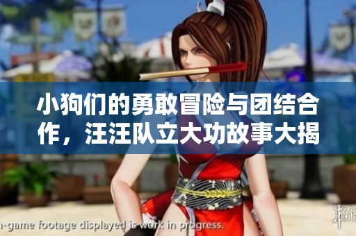 小狗們的勇敢冒險與團(tuán)結(jié)合作，汪汪隊立大功故事大揭秘