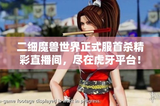 二細(xì)魔獸世界正式服首殺精彩直播間，盡在虎牙平臺！