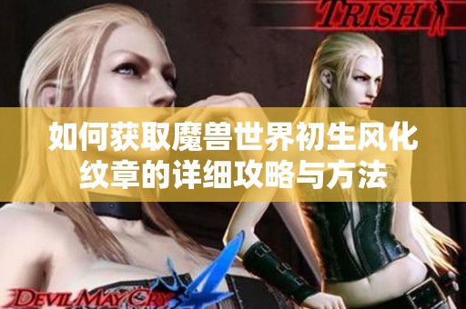 如何獲取魔獸世界初生風(fēng)化紋章的詳細(xì)攻略與方法
