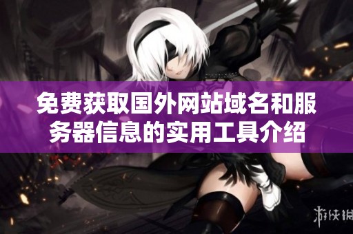 免費獲取國外網(wǎng)站域名和服務(wù)器信息的實用工具介紹