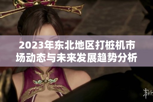 2023年東北地區(qū)打樁機市場動態(tài)與未來發(fā)展趨勢分析