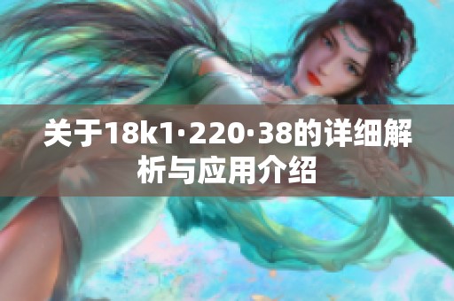 關于18k1·220·38的詳細解析與應用介紹