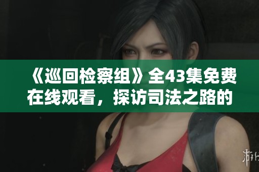 《巡回檢察組》全43集免費在線觀看，探訪司法之路的故事
