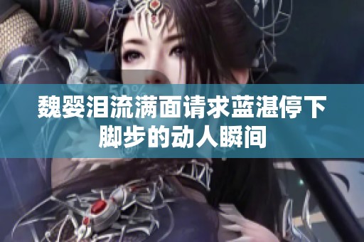 魏嬰淚流滿面請求藍(lán)湛停下腳步的動人瞬間