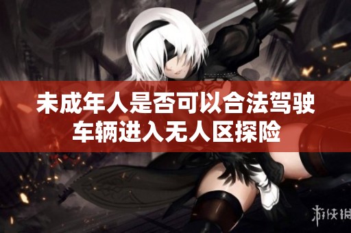 未成年人是否可以合法駕駛車(chē)輛進(jìn)入無(wú)人區(qū)探險(xiǎn)