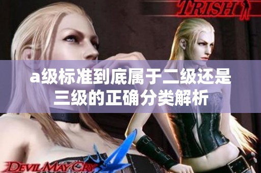 a級(jí)標(biāo)準(zhǔn)到底屬于二級(jí)還是三級(jí)的正確分類解析