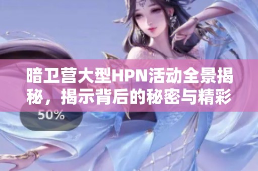 暗衛(wèi)營大型HPN活動(dòng)全景揭秘，揭示背后的秘密與精彩瞬間
