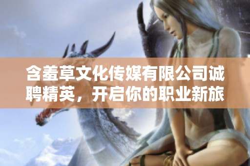 含羞草文化傳媒有限公司誠聘精英，開啟你的職業(yè)新旅程