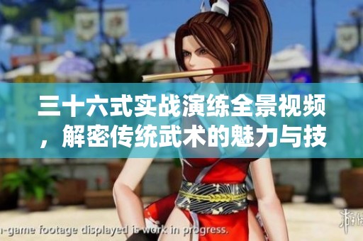三十六式實(shí)戰(zhàn)演練全景視頻，解密傳統(tǒng)武術(shù)的魅力與技巧