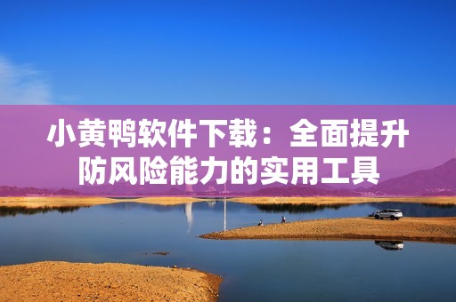 小黃鴨軟件下載：全面提升防風(fēng)險(xiǎn)能力的實(shí)用工具