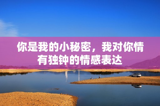 你是我的小秘密，我對你情有獨鐘的情感表達(dá)