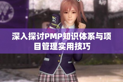 深入探討PMP知識(shí)體系與項(xiàng)目管理實(shí)用技巧