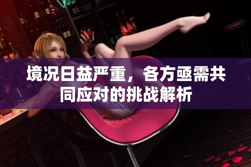 境況日益嚴重，各方亟需共同應(yīng)對的挑戰(zhàn)解析