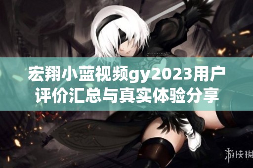 宏翔小藍(lán)視頻gy2023用戶(hù)評(píng)價(jià)匯總與真實(shí)體驗(yàn)分享
