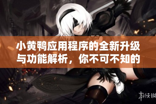小黃鴨應用程序的全新升級與功能解析，你不可不知的亮點與優(yōu)勢