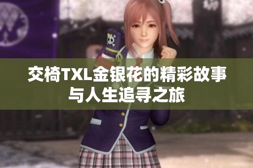 交椅TXL金銀花的精彩故事與人生追尋之旅