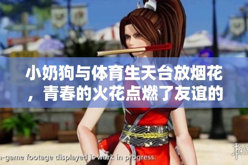 小奶狗與體育生天臺(tái)放煙花，青春的火花點(diǎn)燃了友誼的瞬間