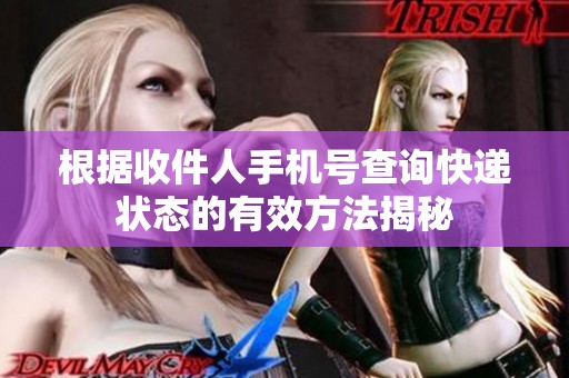 根據(jù)收件人手機號查詢快遞狀態(tài)的有效方法揭秘