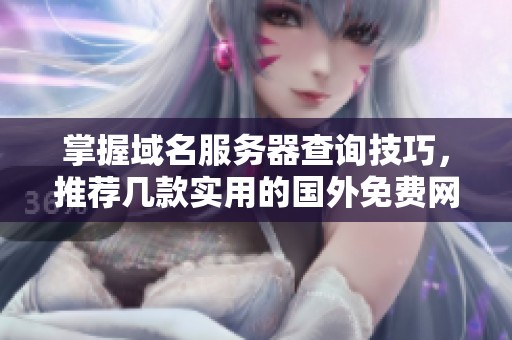 掌握域名服務(wù)器查詢(xún)技巧，推薦幾款實(shí)用的國(guó)外免費(fèi)網(wǎng)站