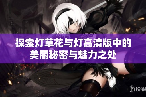 探索燈草花與燈高清版中的美麗秘密與魅力之處