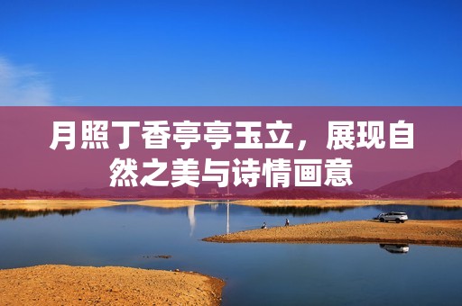 月照丁香亭亭玉立，展現(xiàn)自然之美與詩情畫意