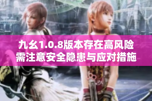九幺1.0.8版本存在高風(fēng)險(xiǎn)需注意安全隱患與應(yīng)對(duì)措施