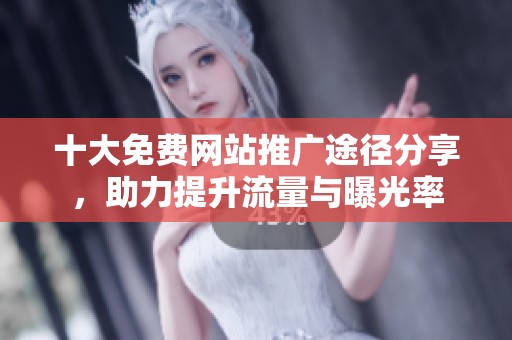 十大免費(fèi)網(wǎng)站推廣途徑分享，助力提升流量與曝光率