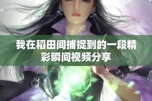 我在稻田間捕捉到的一段精彩瞬間視頻分享
