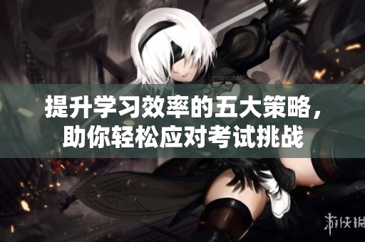 提升學(xué)習(xí)效率的五大策略，助你輕松應(yīng)對(duì)考試挑戰(zhàn)