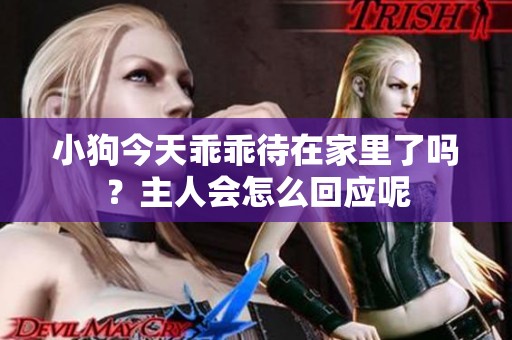 小狗今天乖乖待在家里了嗎？主人會怎么回應(yīng)呢