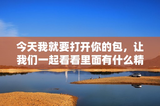 今天我就要打開你的包，讓我們一起看看里面有什么精彩內(nèi)容