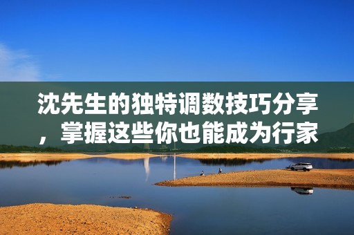沈先生的獨(dú)特調(diào)數(shù)技巧分享，掌握這些你也能成為行家