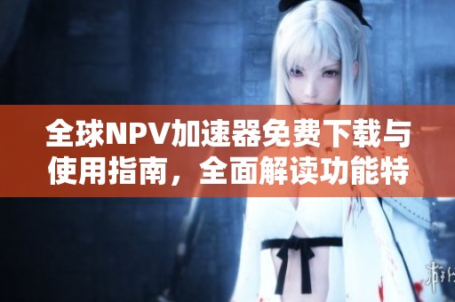 全球NPV加速器免費下載與使用指南，全面解讀功能特性